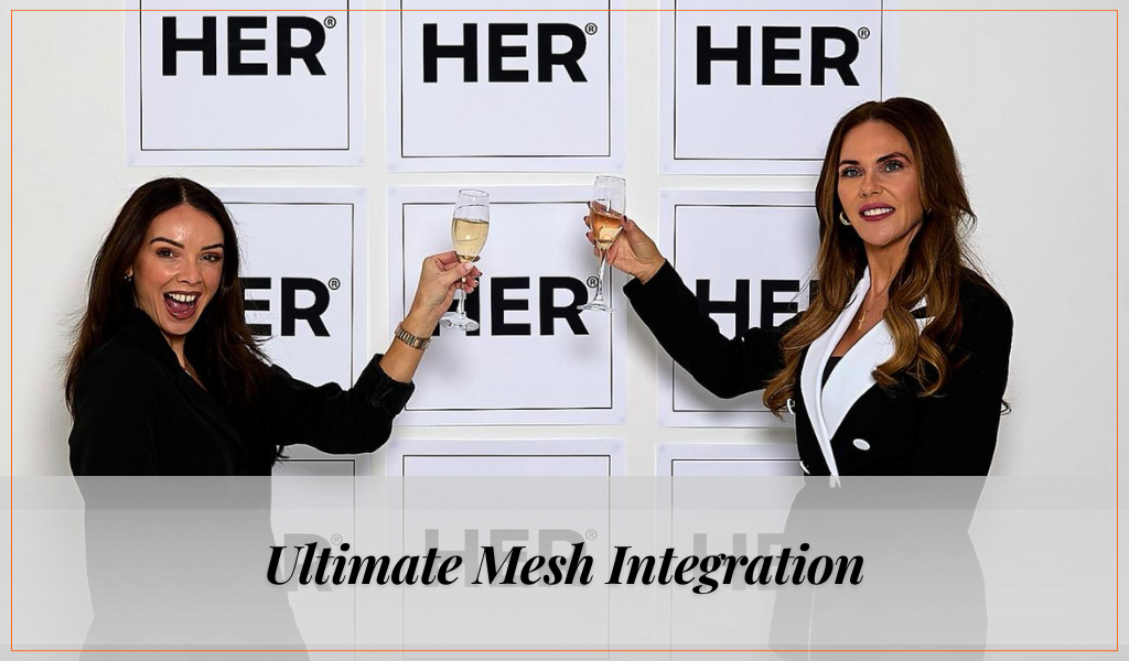 2 Days Complete Mesh Integration Training